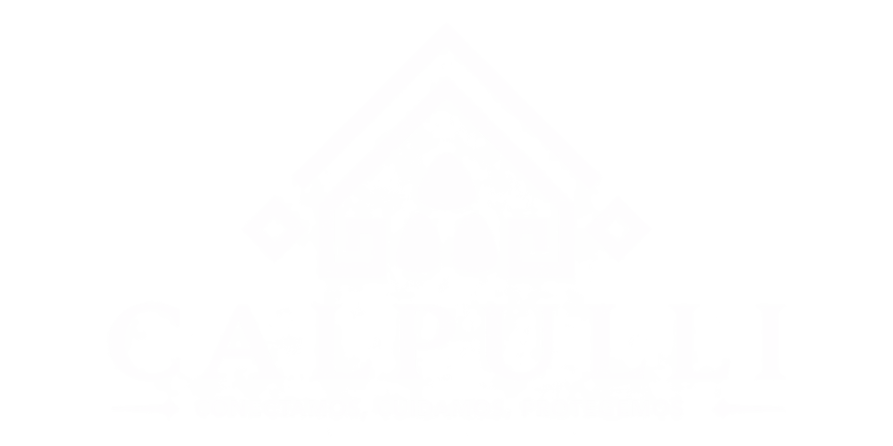 Calpulli — Conectamos, cuidamos, protegemos